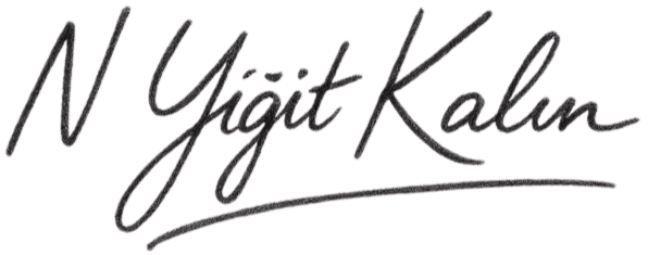 Niyazi Yiğit Kalın logo